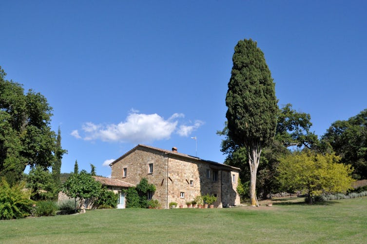  Agriturismo Montefreddo Acerona -Tuscan Cypress