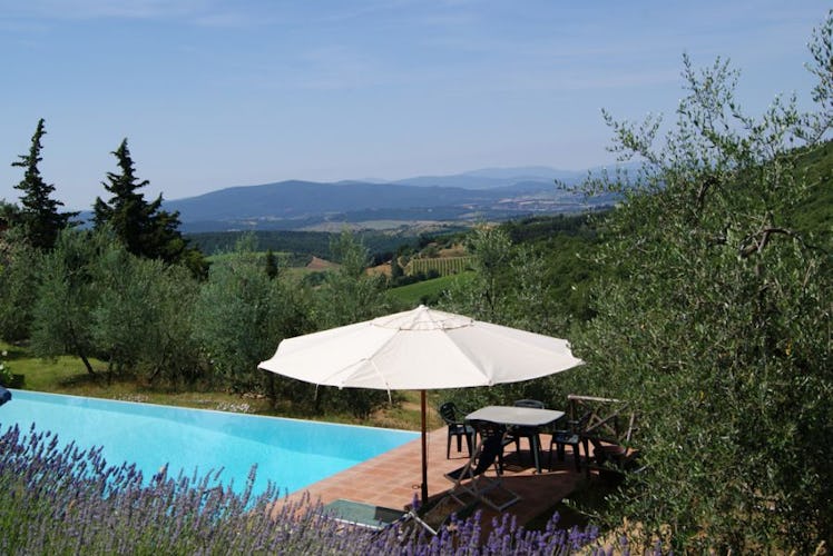 The pool and the surrounding landscape